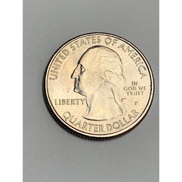 2020 P American Samoa Bat Park Quarter - Picture 2 of 4